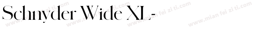 Schnyder Wide XL字体转换